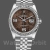 Unisexs Rolex Datejust 36mm Unisex-116244-Stainless Steel-Chocolate Floral Dial Chocolate Replica Image