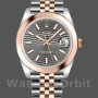 Men's Rolex Datejust 41mm Men's-126301-Rose Gold-Slate Grey Fluted Motif Dial Grey