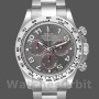 Men's Rolex Cosmograph Daytona-116509, 40mm, White Gold, Gray Arabic Dial, Men’s Grey