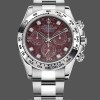 Mens Rolex Cosmograph Daytona White Gold Rubellite Dial 116509 40MM Red Dial Replica Watch Image