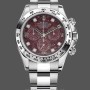 Men's Rolex Cosmograph Daytona White Gold Rubellite Dial 116509 40MM Red Dial