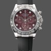 Mens Rolex Cosmograph Daytona White Gold Rubellite Dial 116509 Rubber Strap Red Dial Replica Watch Image