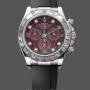 Men's Rolex Cosmograph Daytona White Gold Rubellite Dial 116509 Rubber Strap Red Dial