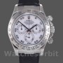Men's Rolex Daytona 40mm Men's-116519-Mother of Pearl-Arabic Dial White