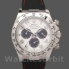 Mens Rolex Daytona 40mm Mens-116519-Panda Dial-Black Rubber Strap White Replica Image