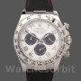 Men's Rolex Daytona 40mm Men's-116519-Panda Dial-Black Rubber Strap White