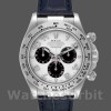 Mens Rolex Daytona 40mm Mens-116519-Panda Dial-Blue Leather Strap White Replica Image