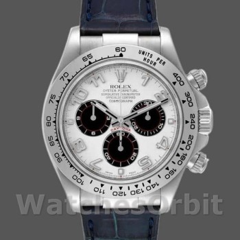 Men's Rolex Daytona 40mm Men's-116519-Panda Dial-Blue Leather Strap White