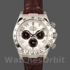 Mens Rolex Daytona 40mm Mens-116519-Panda Dial-Chocolate Leather Strap White Replica Image