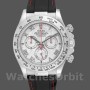 Men's Rolex Oyster Perpetual Cosmograph Daytona 40mm Men's-116519-Meteorite Dial Meteorite
